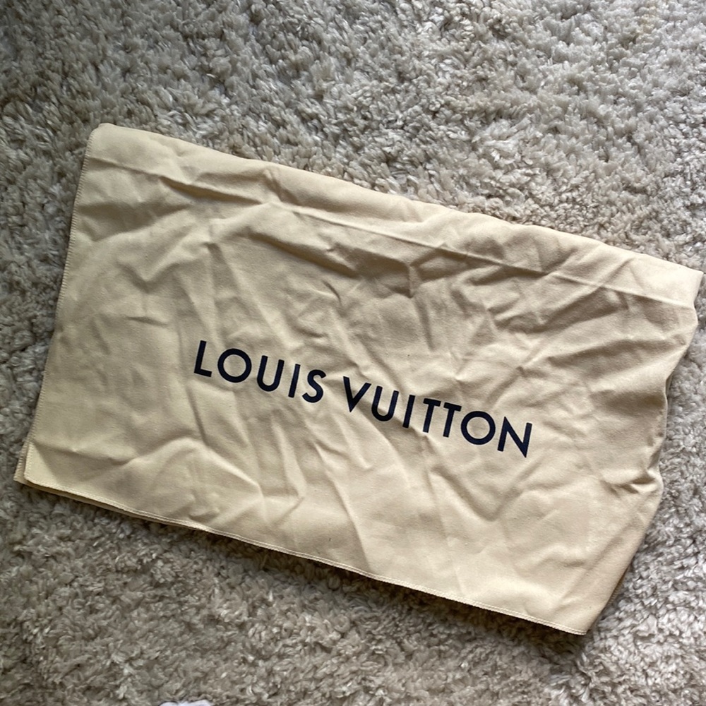 Louis Vuitton Sleeve/Cloth Bag